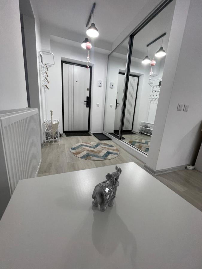 Castle Residence Apt. Eminescu 부스테니 외부 사진