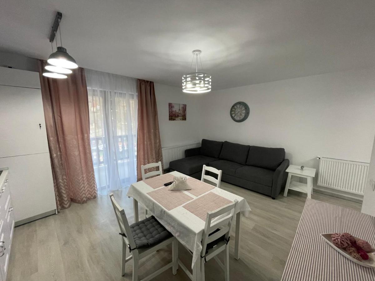 Castle Residence Apt. Eminescu 부스테니 외부 사진