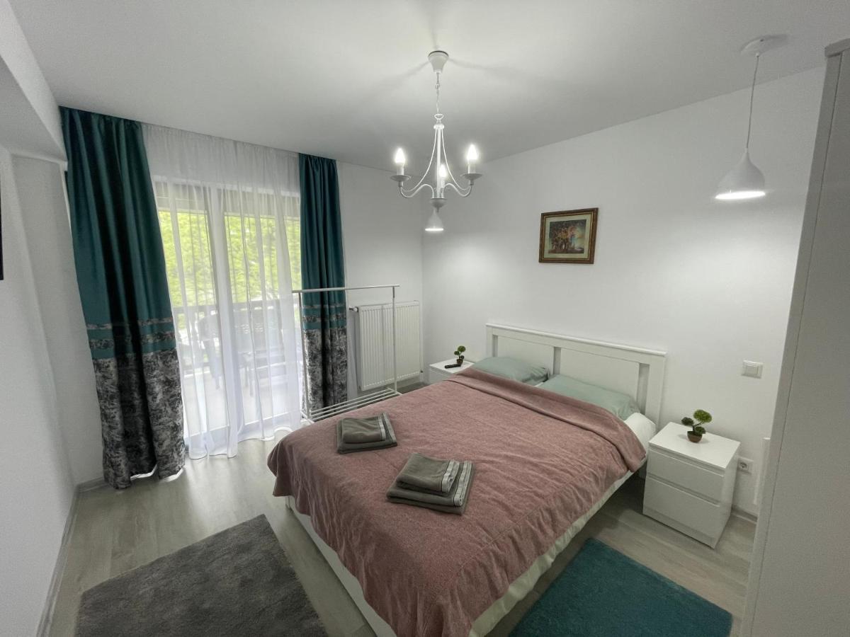 Castle Residence Apt. Eminescu 부스테니 외부 사진