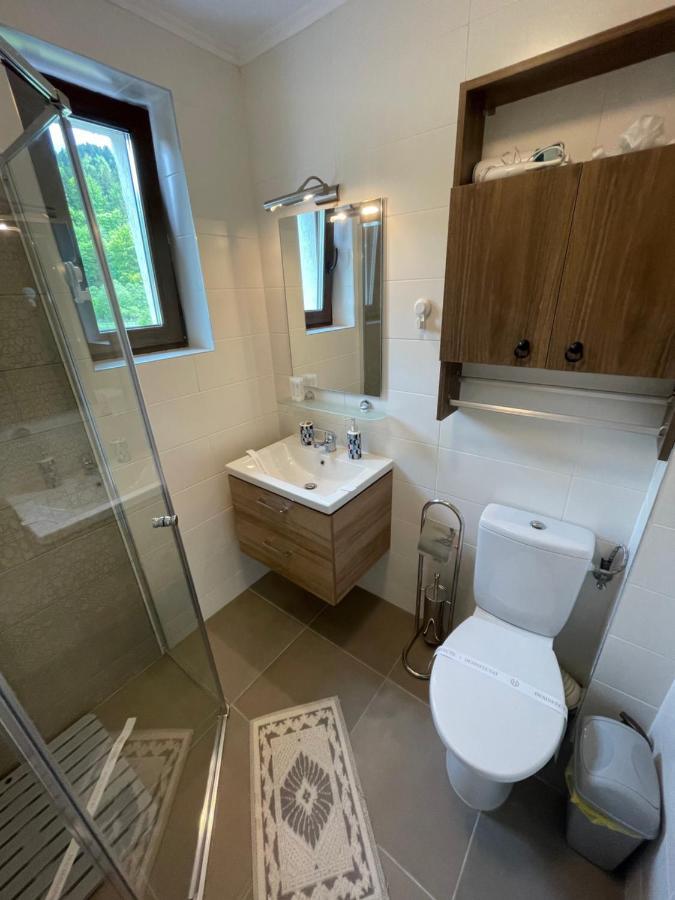 Castle Residence Apt. Eminescu 부스테니 외부 사진